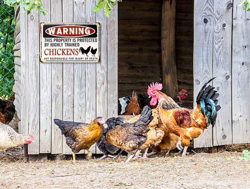 Bestylez Funny Chicken Coop Sign - "Warning: Property Protected by Chickens" Decorative Metal Sign for Farm, Home, or Garden 12" * 8" (219) - Image 4